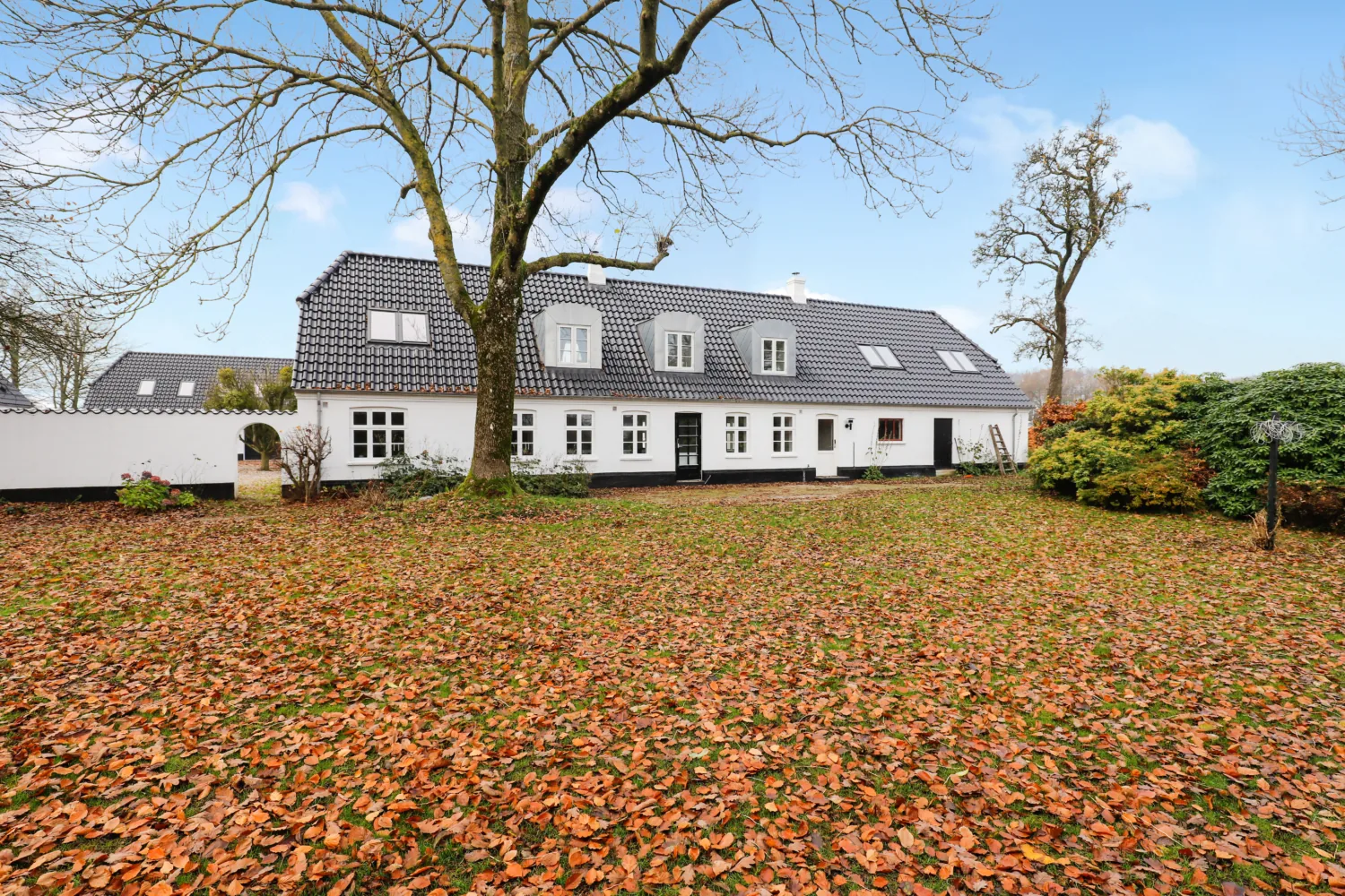 Lejebolig i 6710 Esbjerg V billede 1