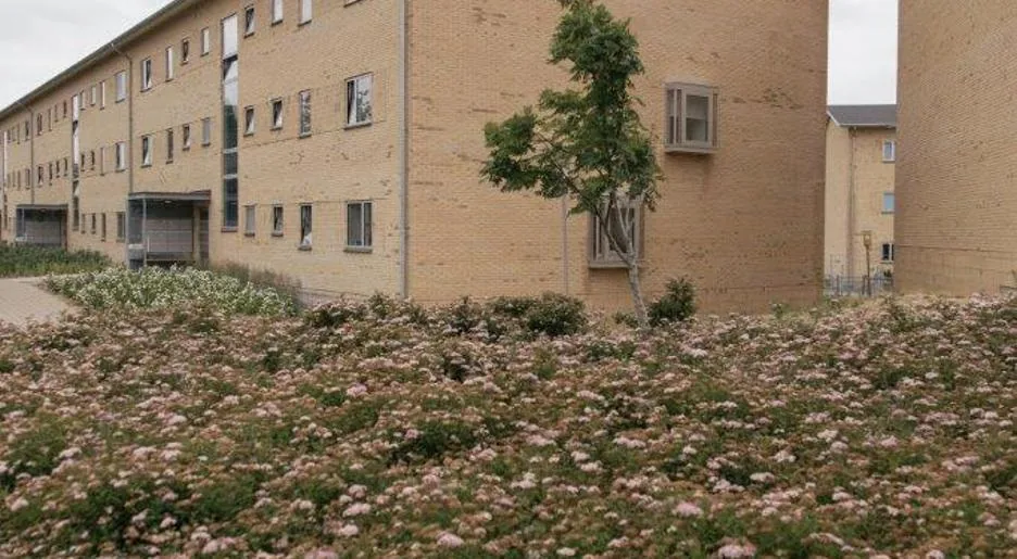 2-room apartment in 7100 Vejle image 3