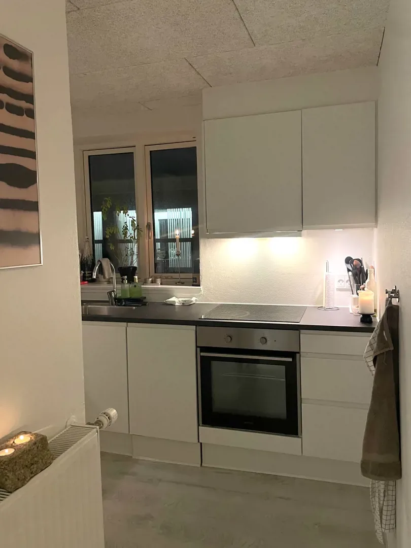 1-værelses lejlighed i 9400 Nørresundby billede 2