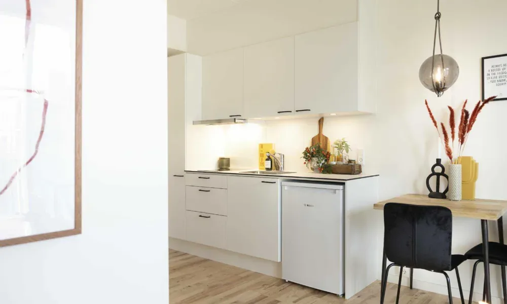 1-room apartment with an elevator in 2610 Rødovre image 3