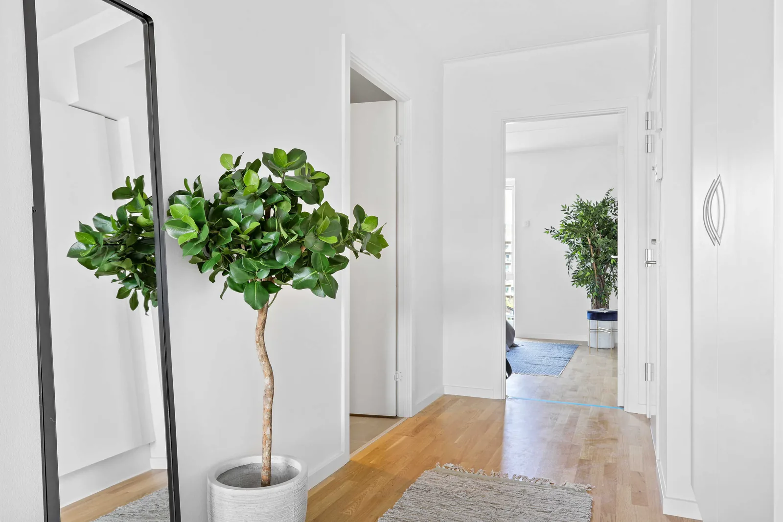 4-room apartment in 2450 København SV image 5
