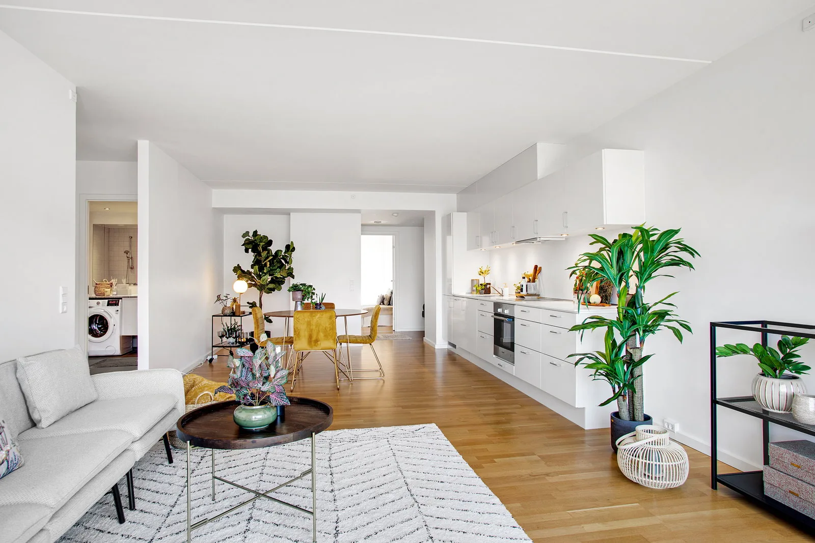 2-room apartment with an elevator in 2450 København Sv image 4