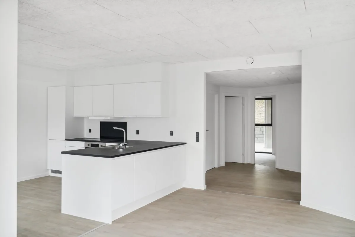 4-room apartment in 8600 Silkeborg image 5