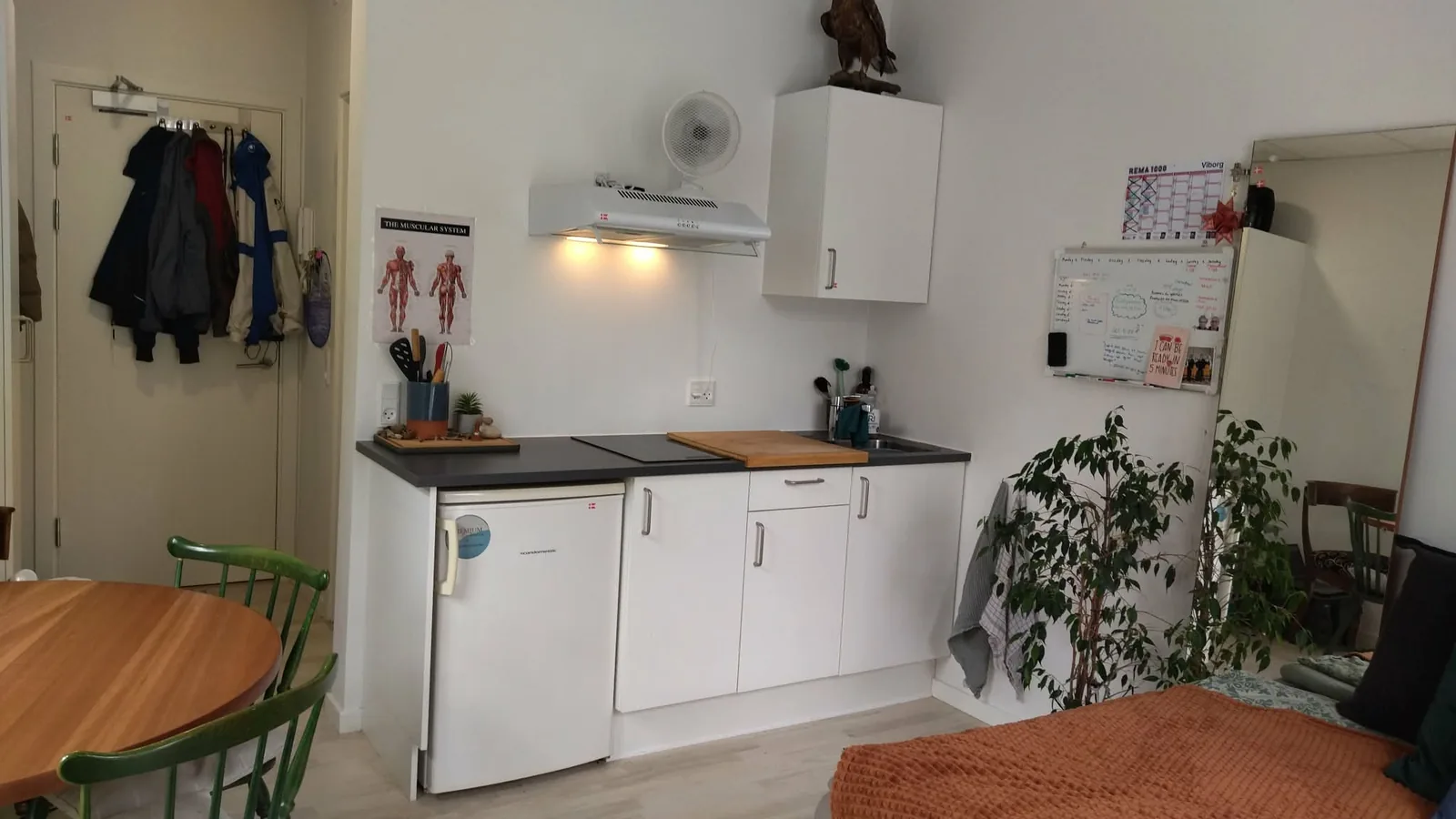 1-room apartment with an elevator in 8700 Horsens image 2